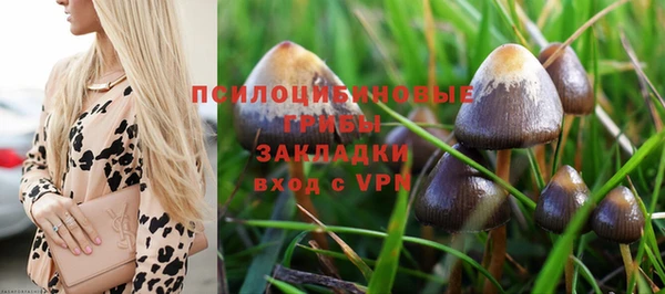 мдпв Армянск