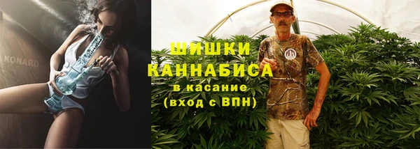 амф Арсеньев