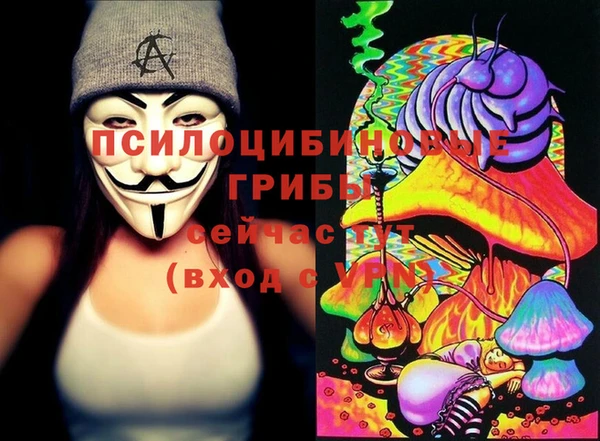 кокс Аркадак